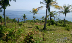 Image 1 from OCEAN VIEW LAND FOR SALE FREEHOLD IN NUSA PENIDA