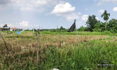 Image 1 from Ricefield View Land For Sale in Batu Bolong