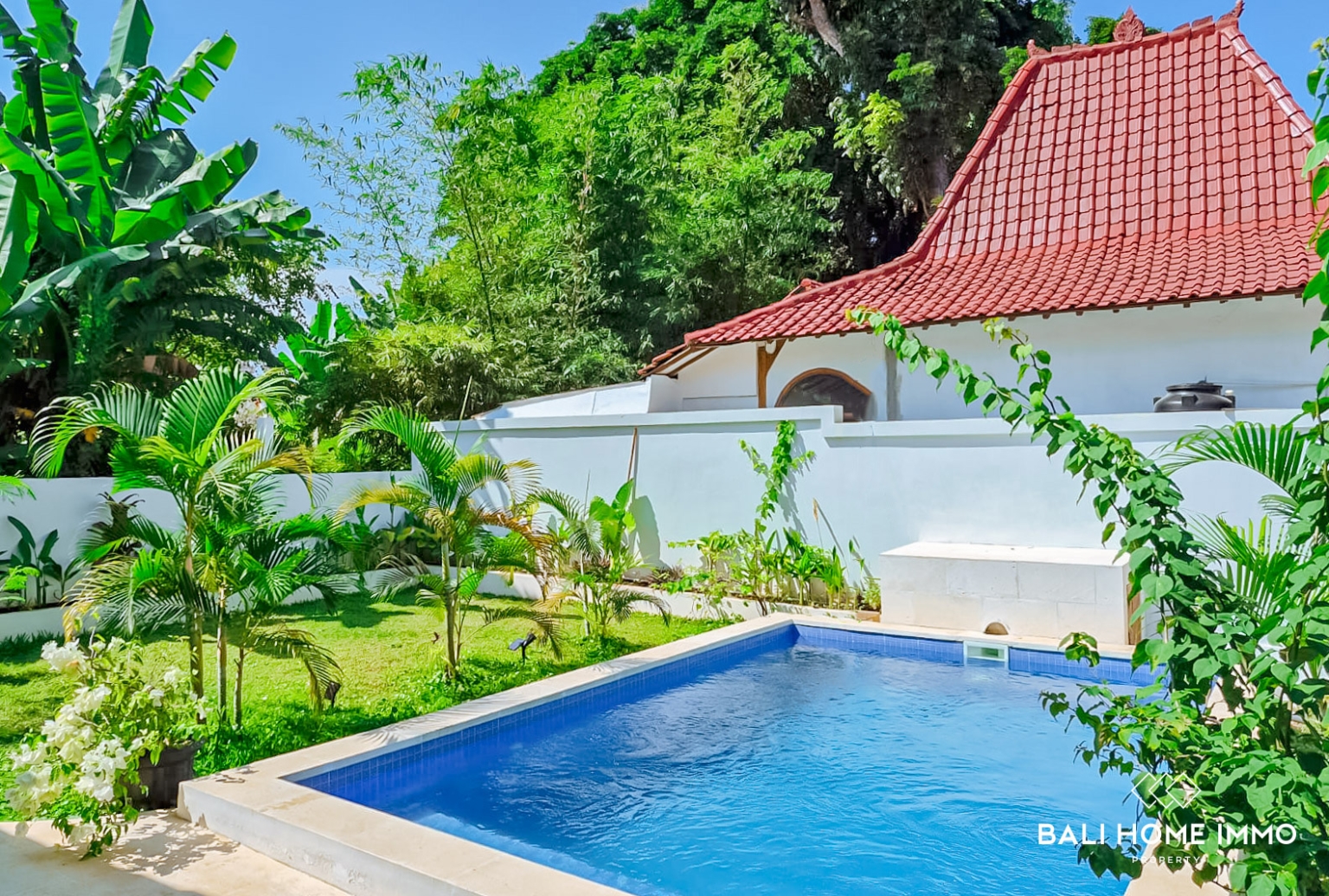 PEACEFUL 3 BEDROOMS VILLA FOR MONTHLY RENTAL IN PANDAWA view 4