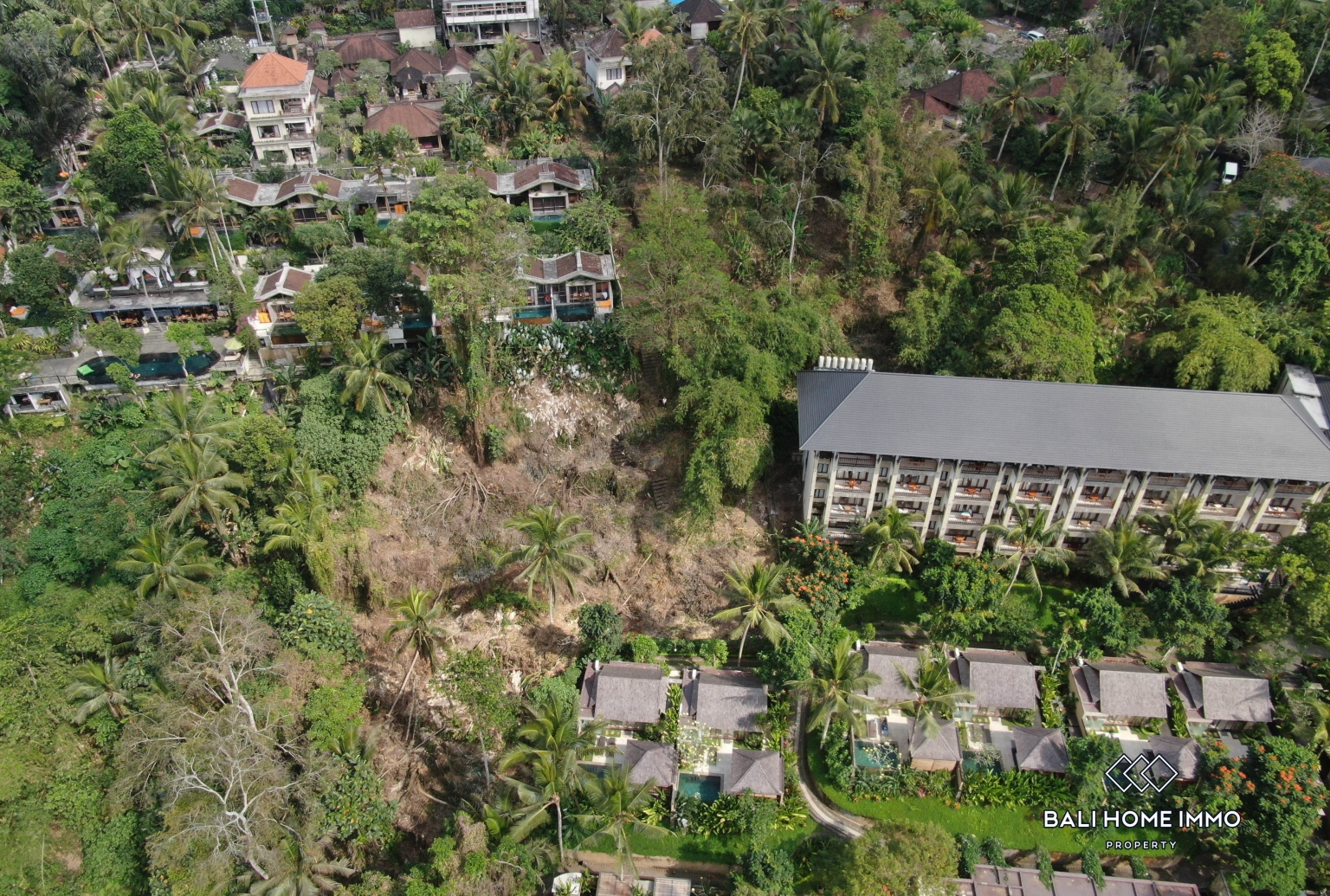 Terrain à flanc de colline en zone rose avec vue à vendre à Ubud view 14