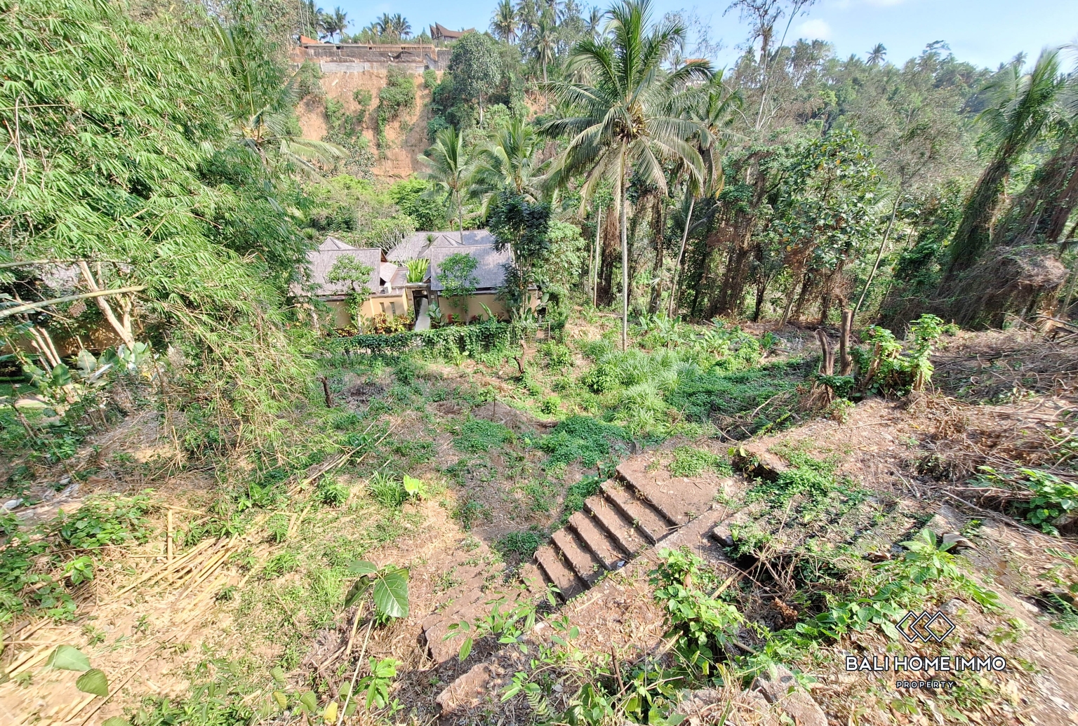 Terrain à flanc de colline en zone rose avec vue à vendre à Ubud view 3