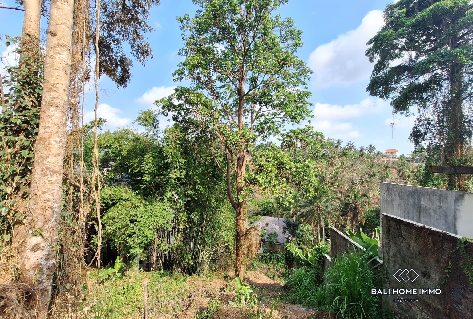Terrain à flanc de colline en zone rose avec vue à vendre à Ubud view 4