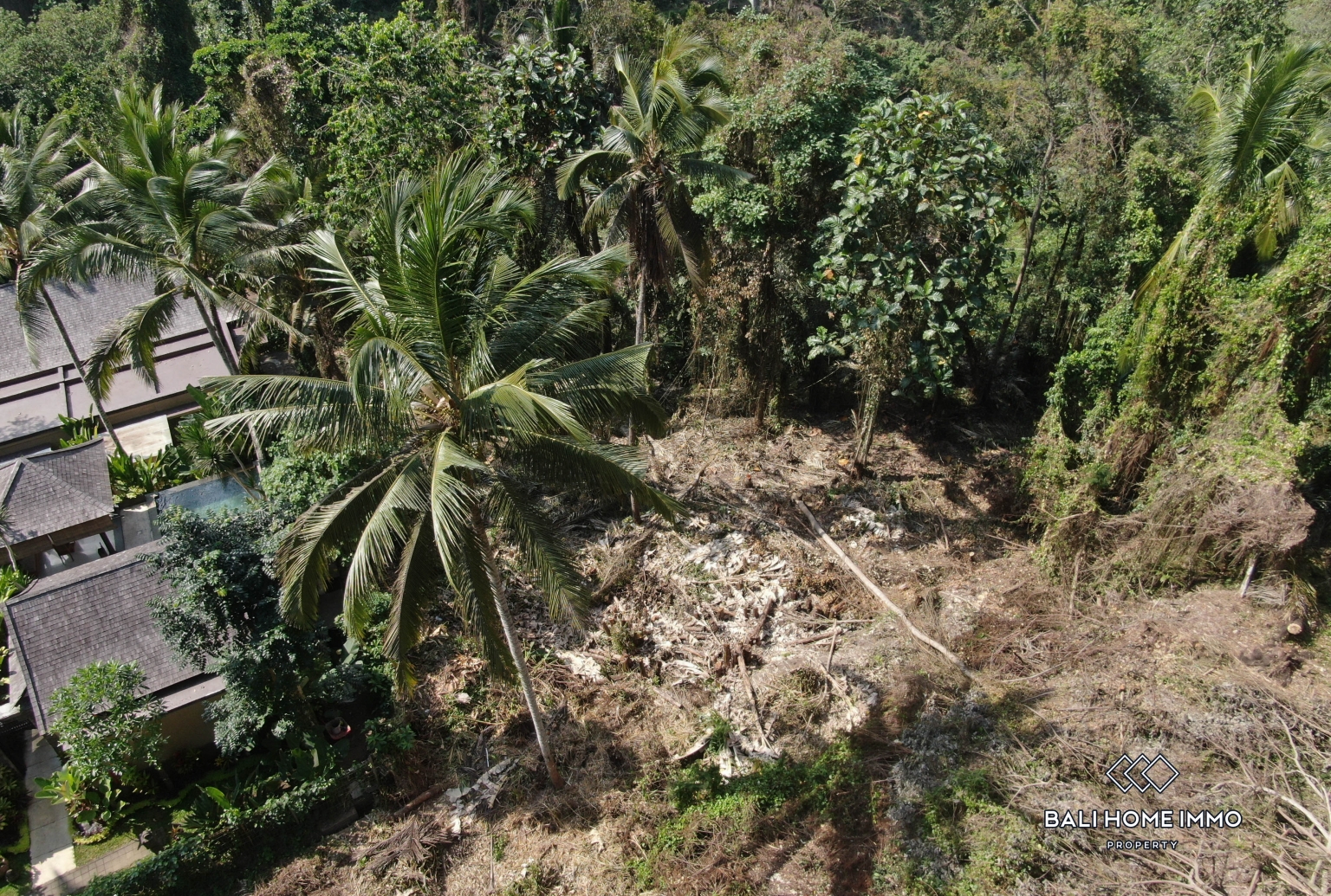 Terrain à flanc de colline en zone rose avec vue à vendre à Ubud view 5