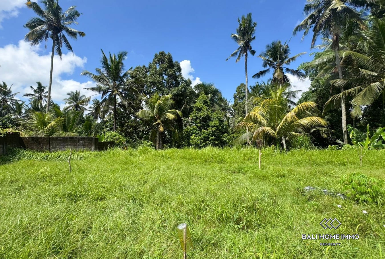 Pink Zone Land 1058m² For Sale In Ubud view 5