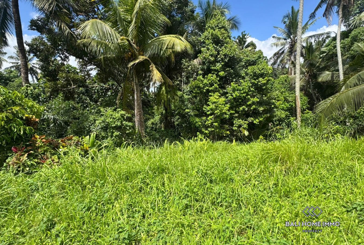 Pink Zone Land 1058m² For Sale In Ubud view 9