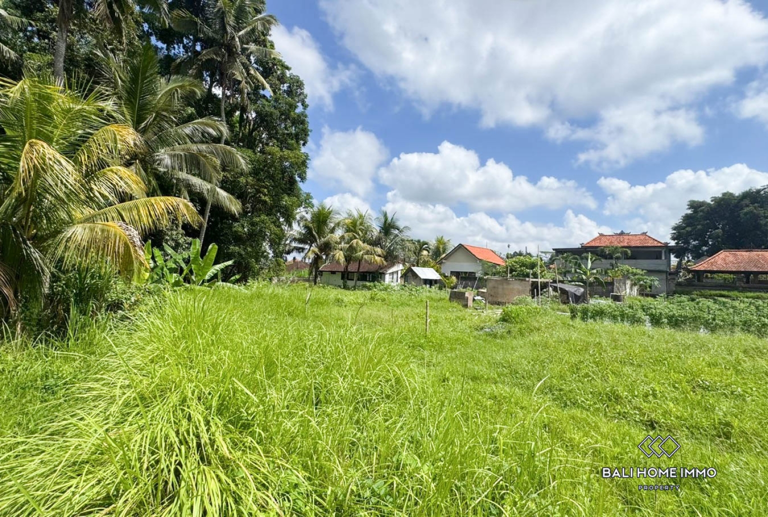 Pink Zone Land 1058m² For Sale In Ubud view 3