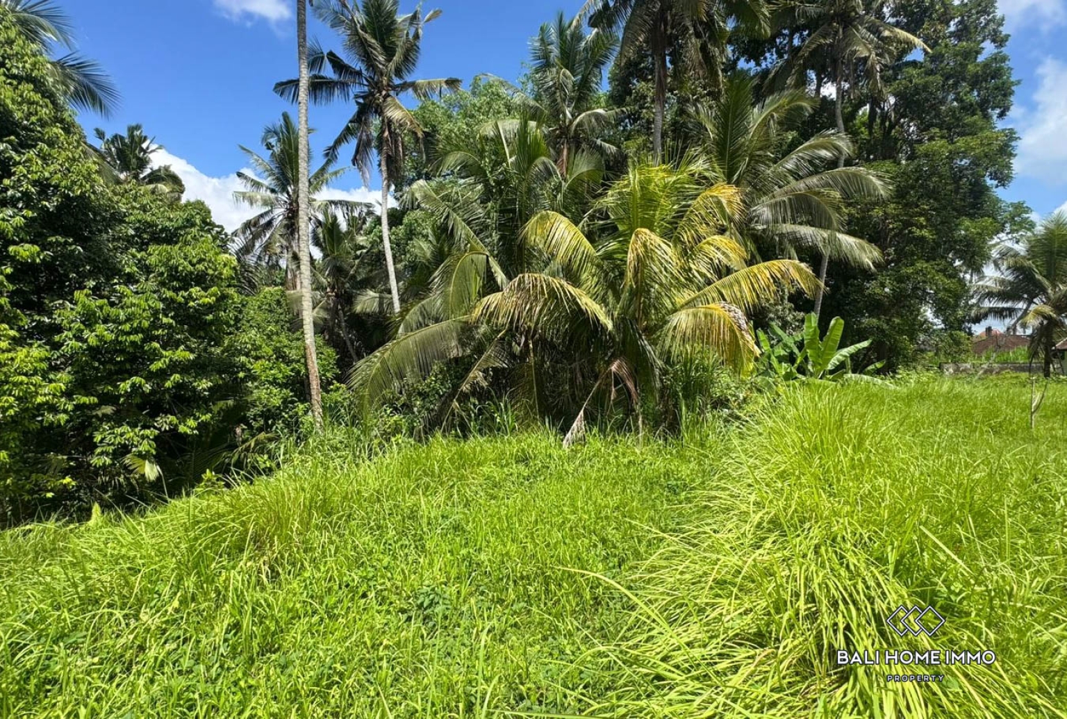 Pink Zone Land 1058m² For Sale In Ubud view 6
