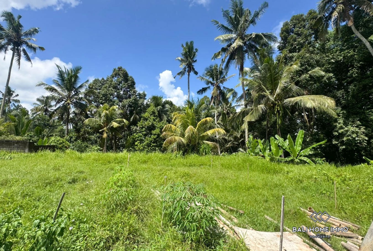 Pink Zone Land 1058m² For Sale In Ubud view 8