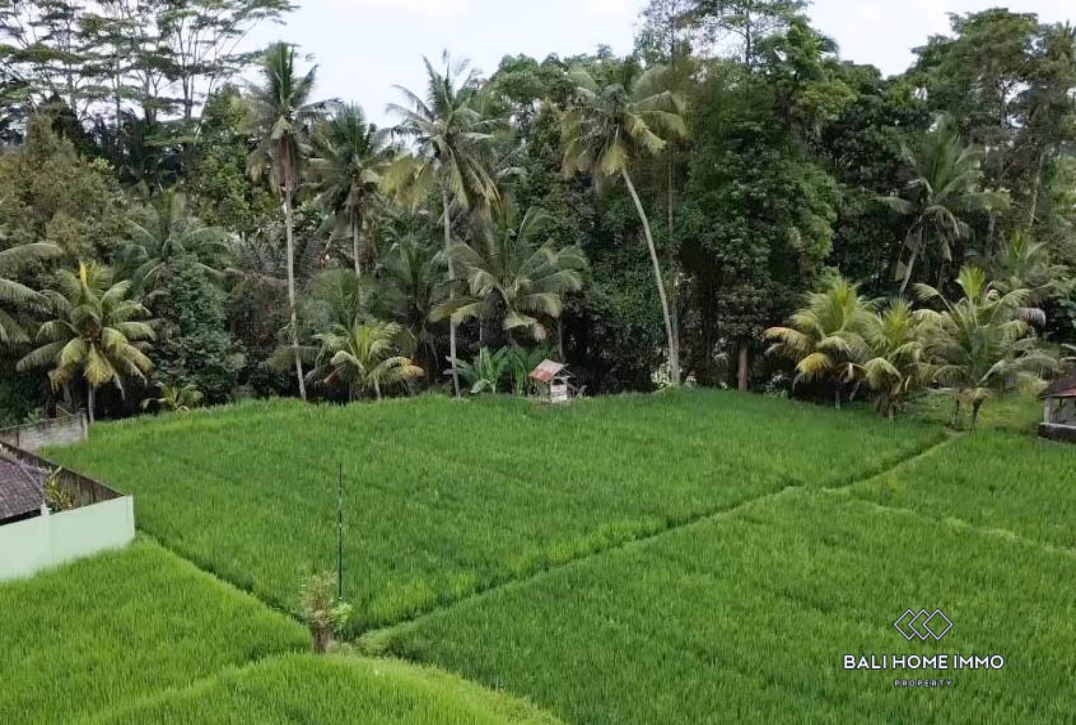 Pink Zone Land 1058m² For Sale In Ubud view 2