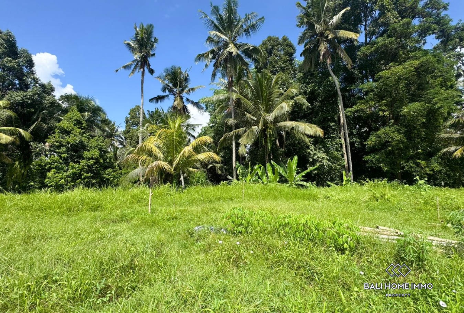 Pink Zone Land 1058m² For Sale In Ubud view 7