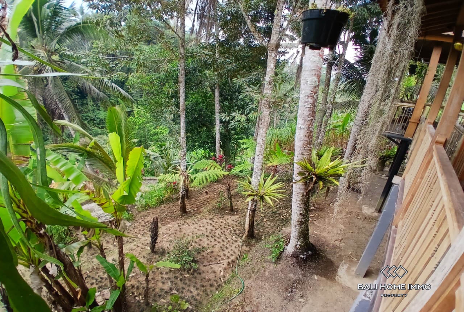 Prime 1500 m² Land with Charming Wooden Joglo  for sale in Bukian, Payangan view 2