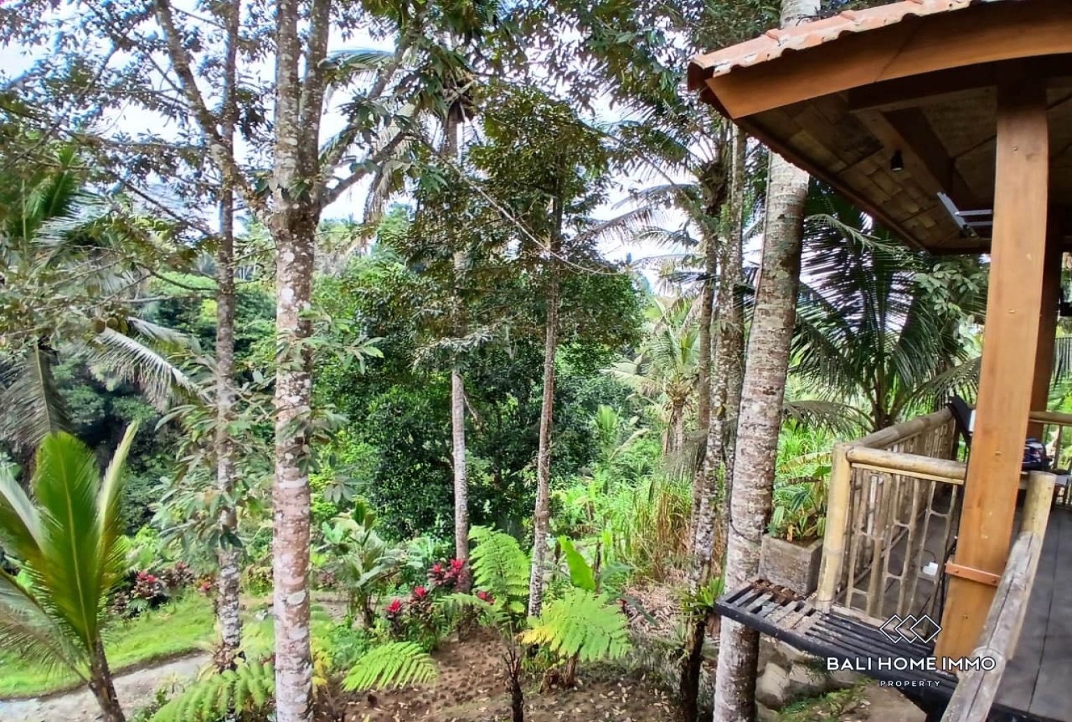 Prime 1500 m² Land with Charming Wooden Joglo  for sale in Bukian, Payangan view 4