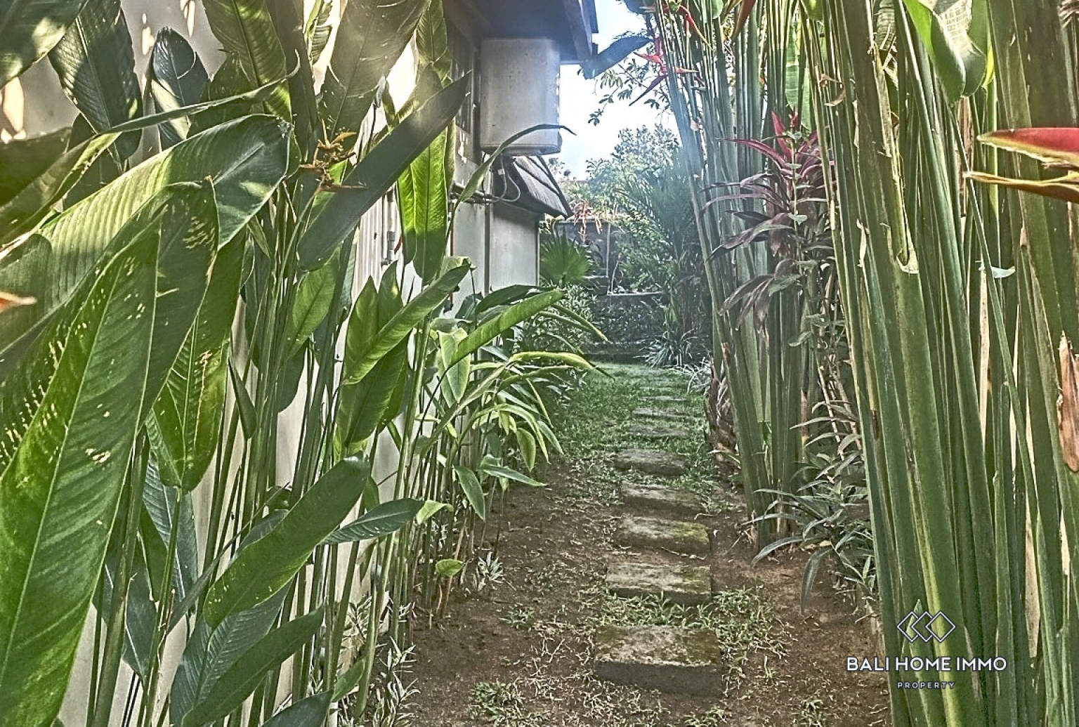 Quiet Place 1 Bedroom Villa for Yearly Rental in Bali Canggu Berawa view 8