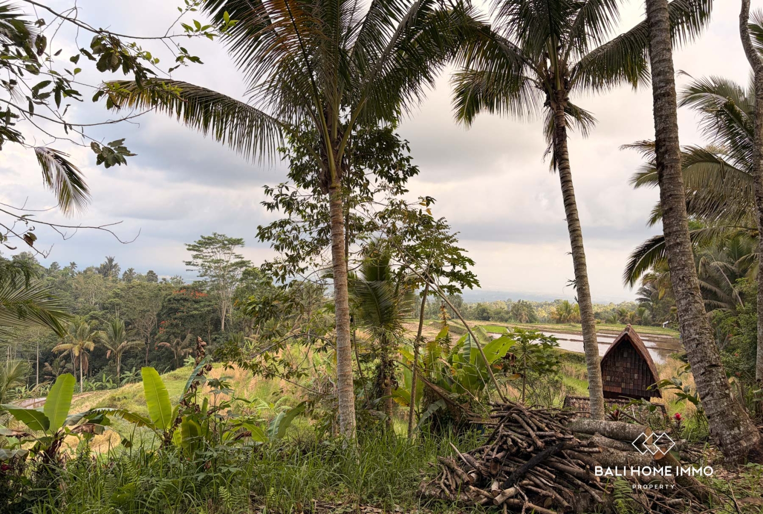 Ready to build 2800 m² land FOR LEASEHOLD SALE in JATILUWIH TABANAN BALI view 3