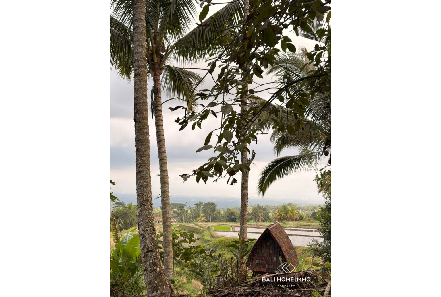 Ready to build 2800 m² land FOR LEASEHOLD SALE in JATILUWIH TABANAN BALI view 10