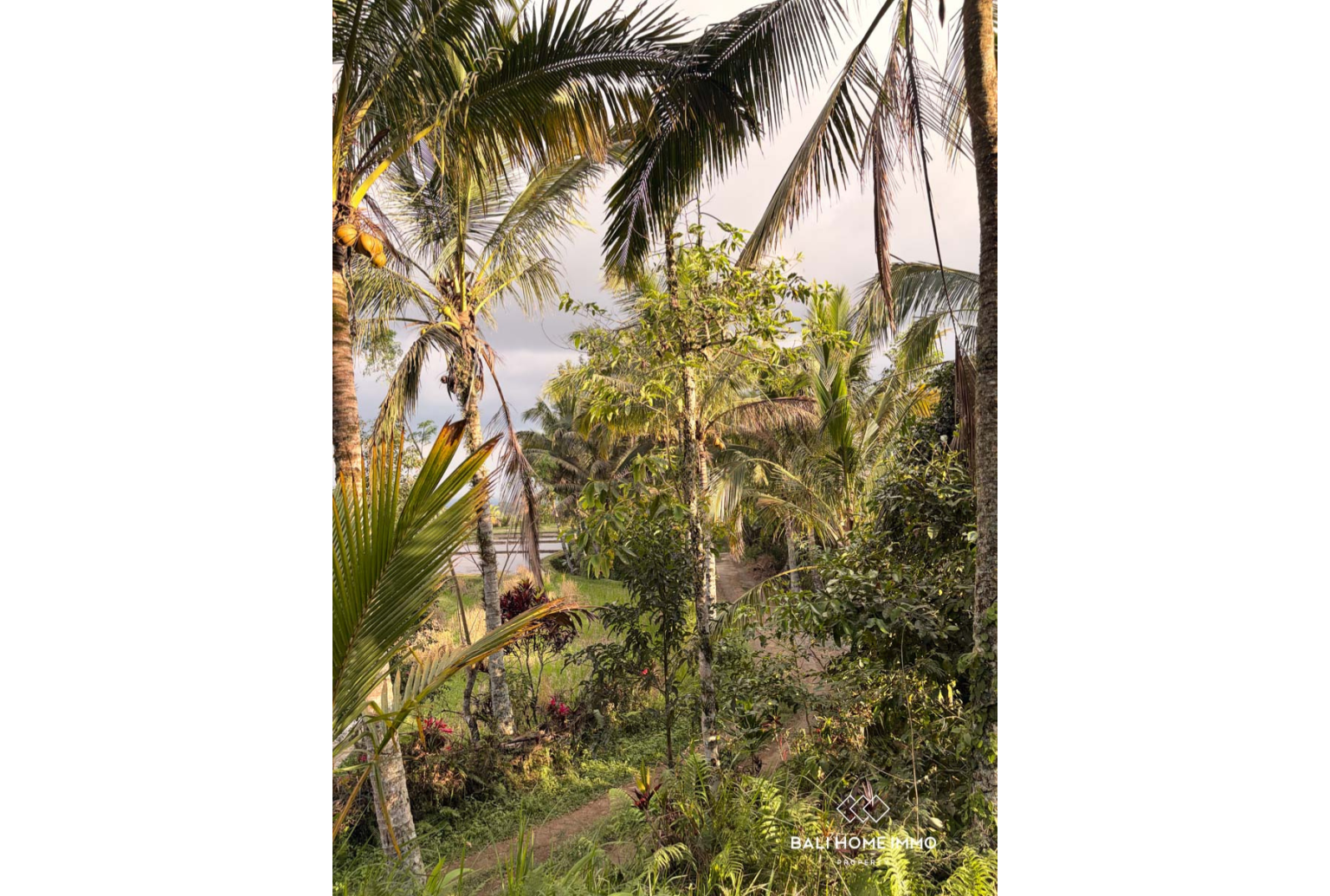 Ready to build 2800 m² land FOR LEASEHOLD SALE in JATILUWIH TABANAN BALI view 6