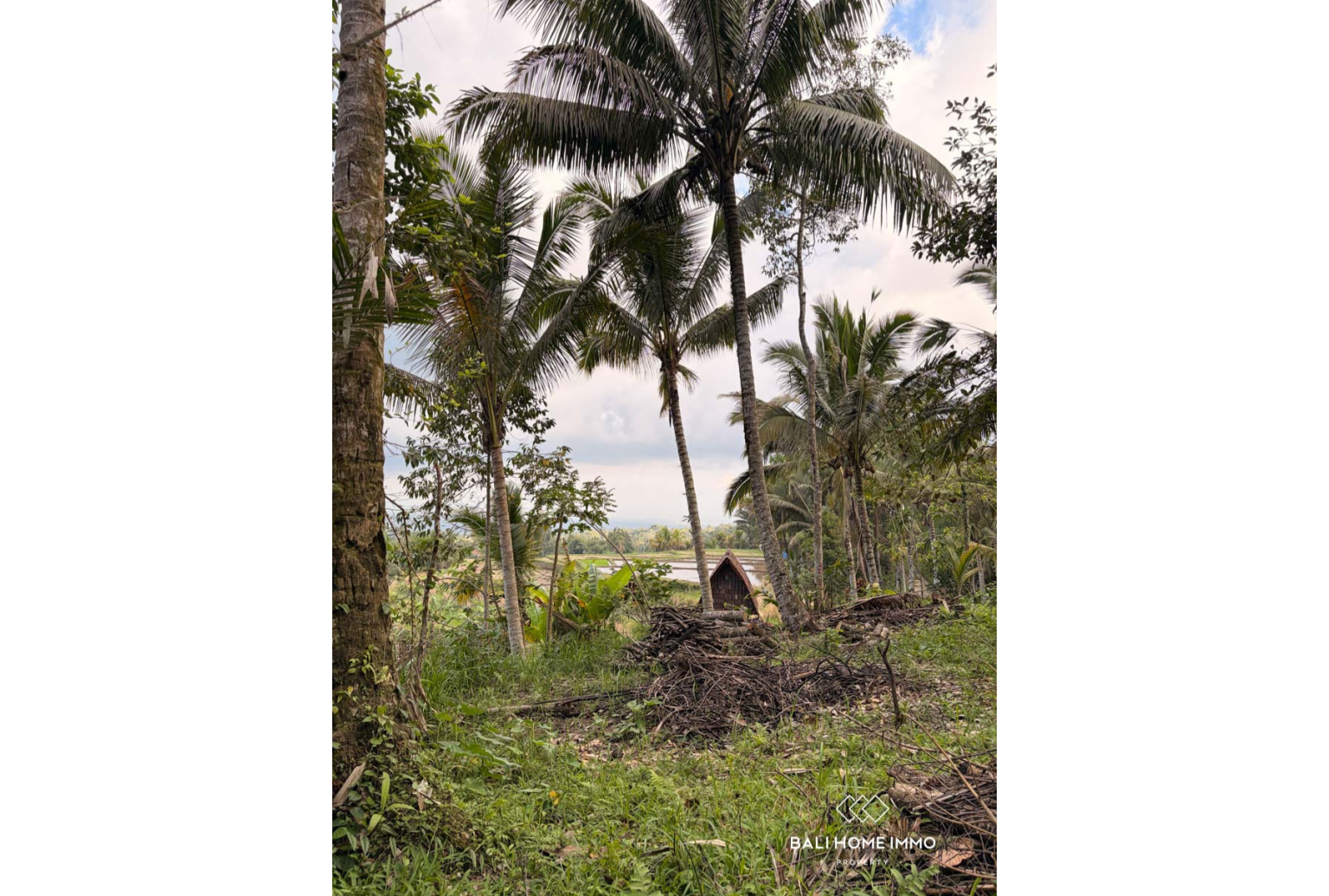 Ready to build 2800 m² land FOR LEASEHOLD SALE in JATILUWIH TABANAN BALI view 5