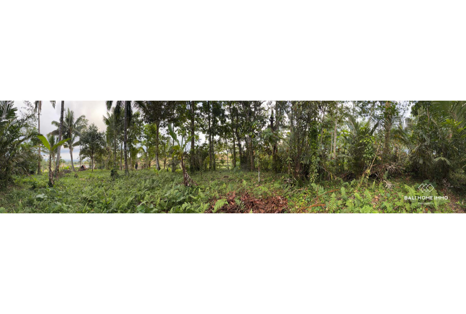 Ready to build 2800 m² land FOR LEASEHOLD SALE in JATILUWIH TABANAN BALI view 4