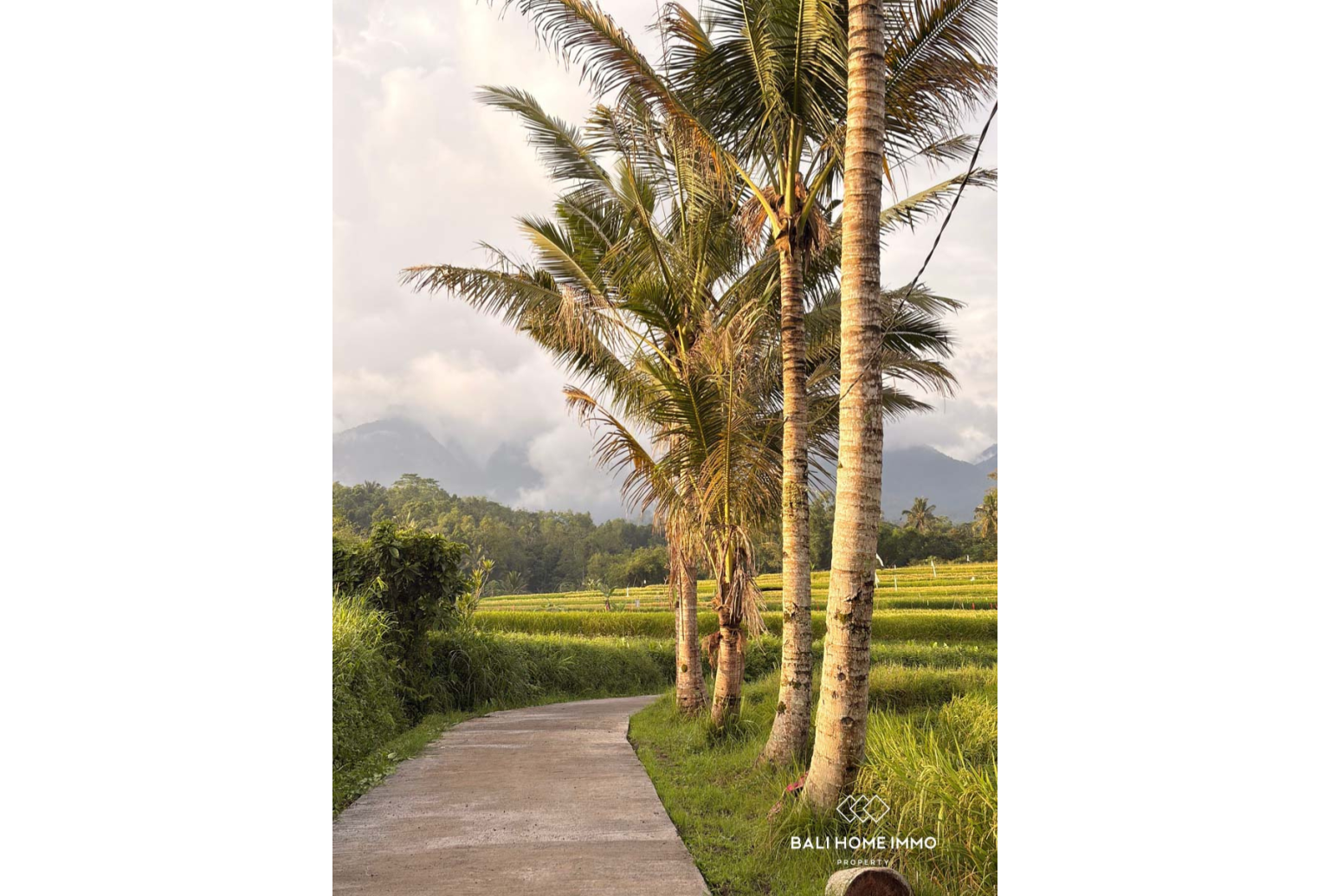Ready to build 2800 m² land FOR LEASEHOLD SALE in JATILUWIH TABANAN BALI view 12