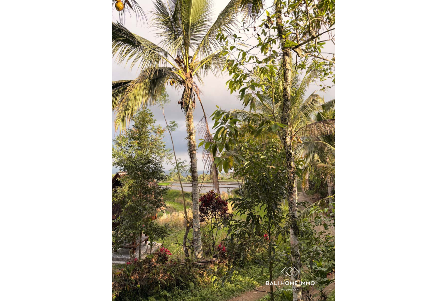 Ready to build 2800 m² land FOR LEASEHOLD SALE in JATILUWIH TABANAN BALI view 8