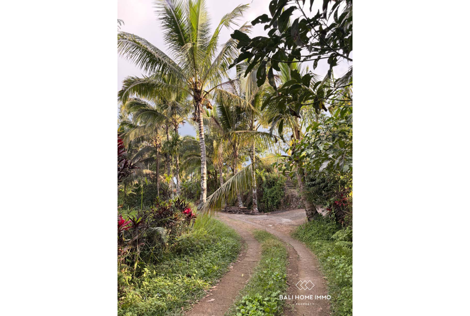Ready to build 2800 m² land FOR LEASEHOLD SALE in JATILUWIH TABANAN BALI view 13