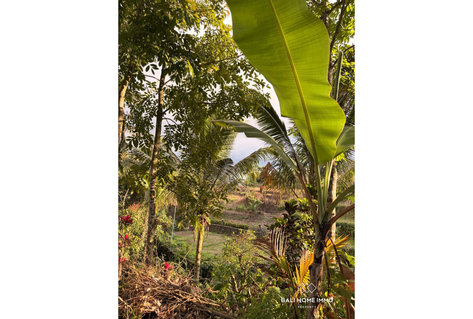 Ready to build 2800 m² land FOR LEASEHOLD SALE in JATILUWIH TABANAN BALI view 7