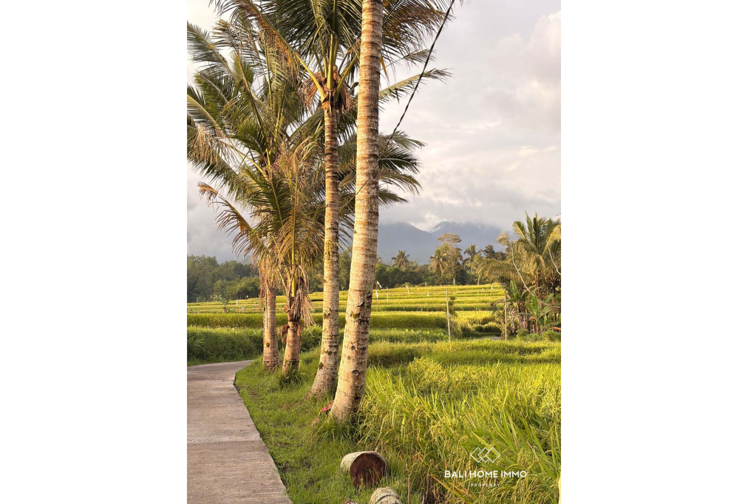 Ready to build 2800 m² land FOR LEASEHOLD SALE in JATILUWIH TABANAN BALI view 11
