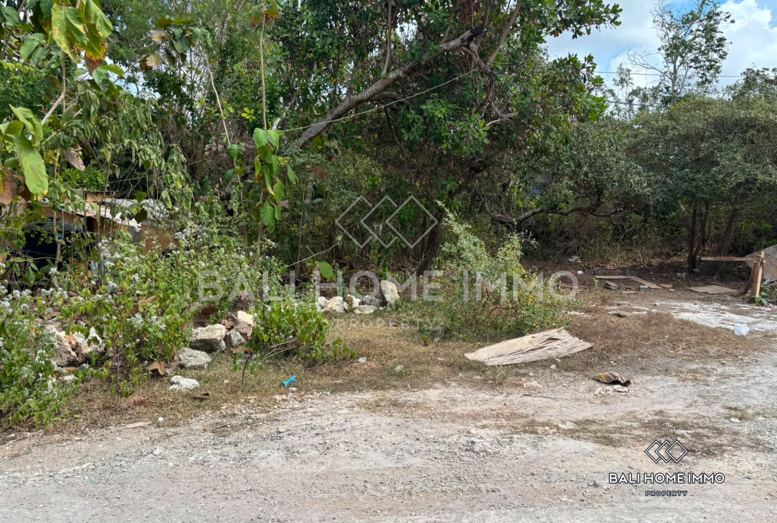 Residential Land for Sale Freehold and Leasehold in Pandawa Kutuh view 3