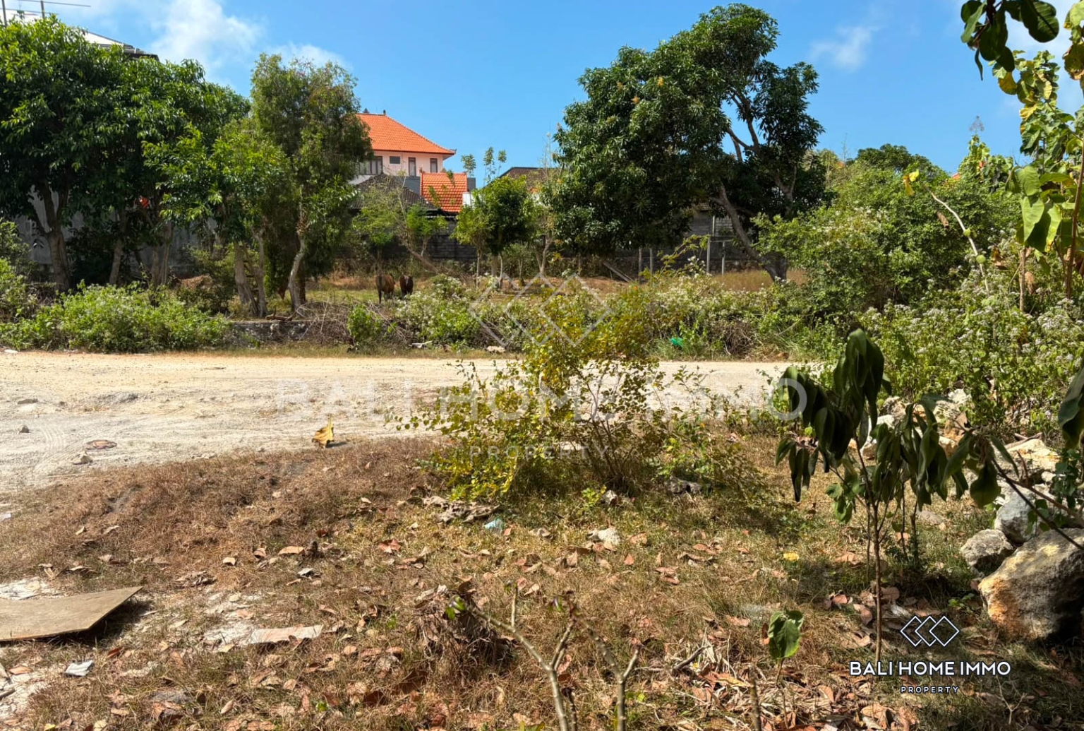 Residential Land for Sale Freehold and Leasehold in Pandawa Kutuh view 2