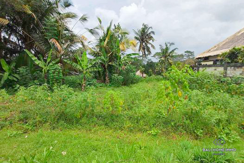 Land Sale Freehold Ricefield View Land For Sale Freehold In Bali Ubud Rf Bali Home Immo