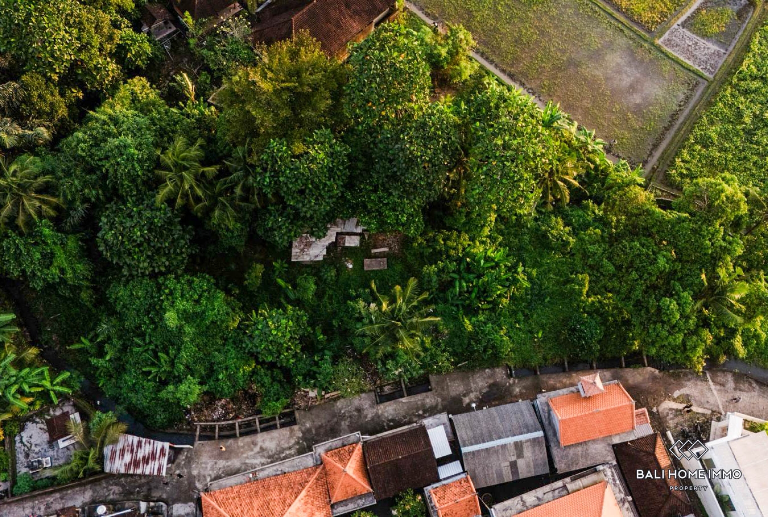 Ricefield View Land for Sale in Kaba Kaba view 3