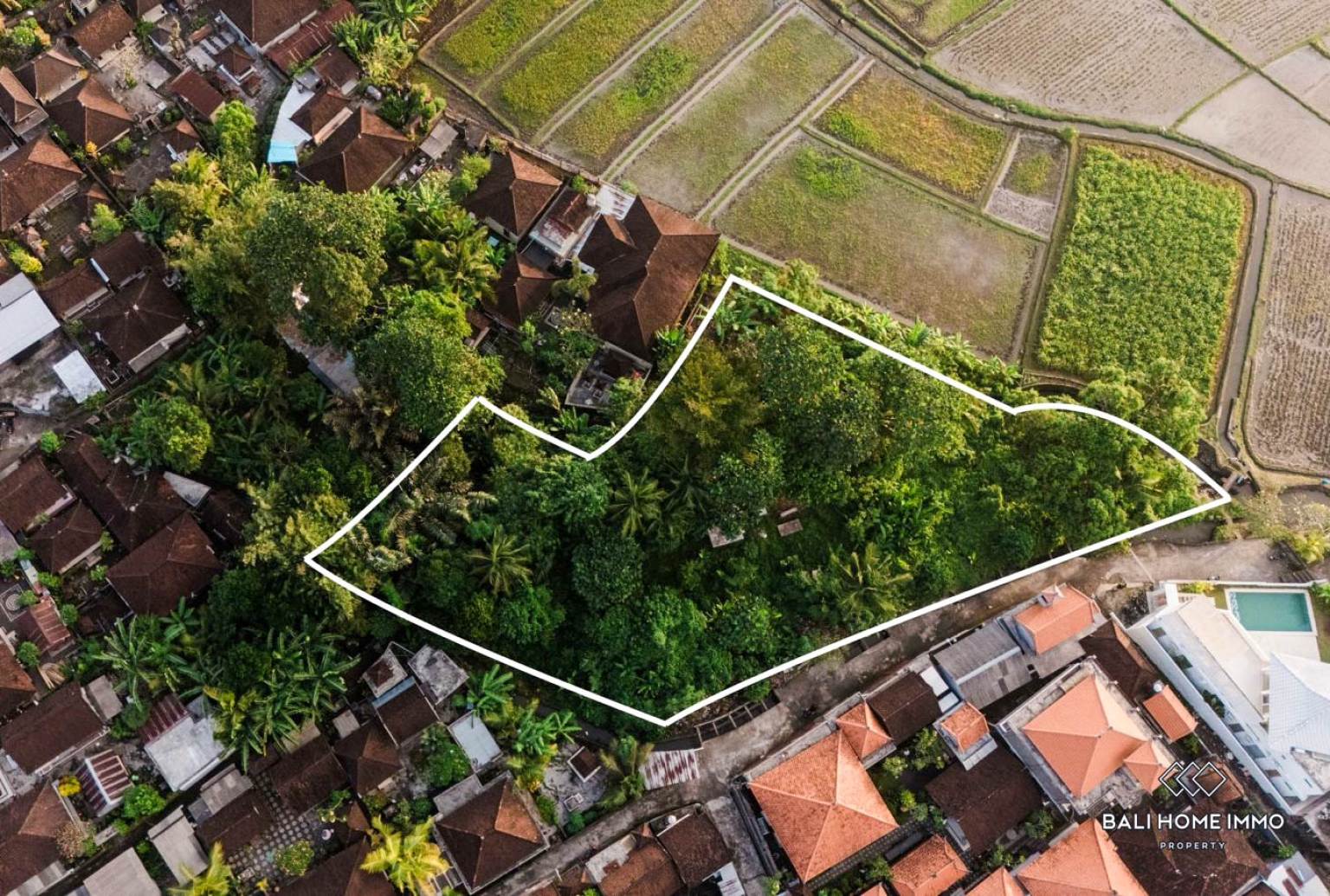 Ricefield View Land for Sale in Kaba Kaba view 2
