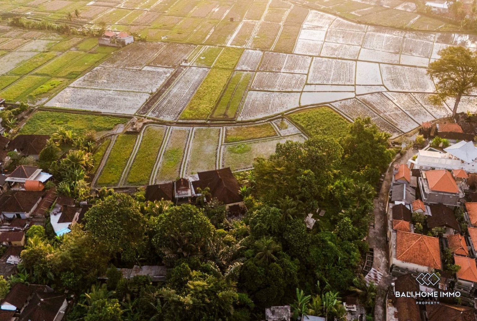 Ricefield View Land for Sale in Kaba Kaba view 5
