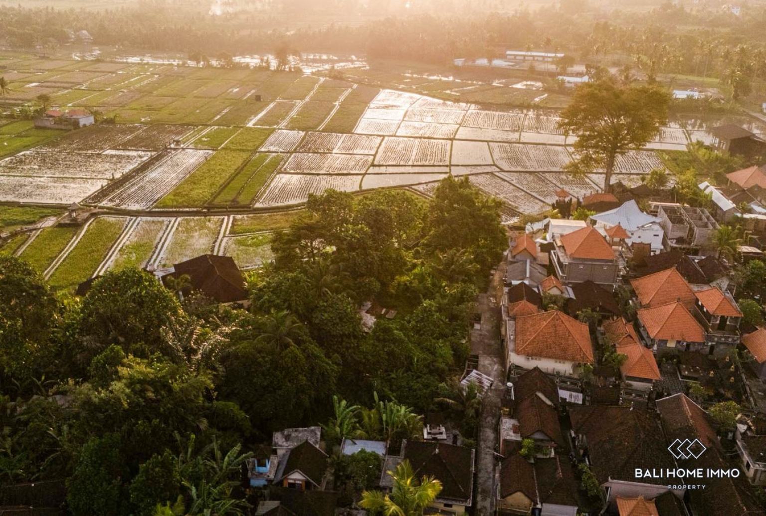 Ricefield View Land for Sale in Kaba Kaba view 6