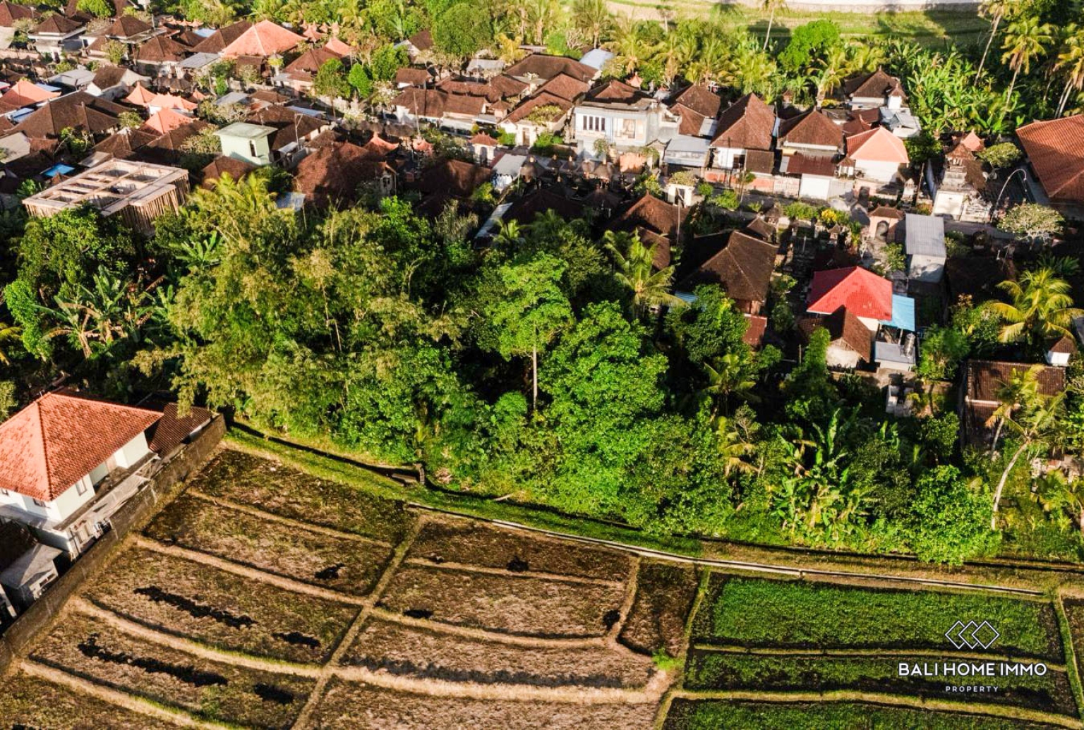 Ricefield View Land for Sale in Nyambu-Tabanan view 3