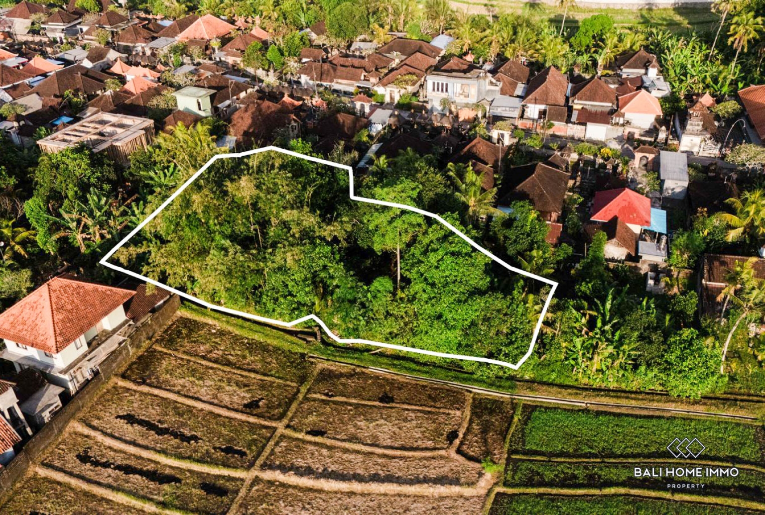 Ricefield View Land for Sale in Nyambu-Tabanan view 2