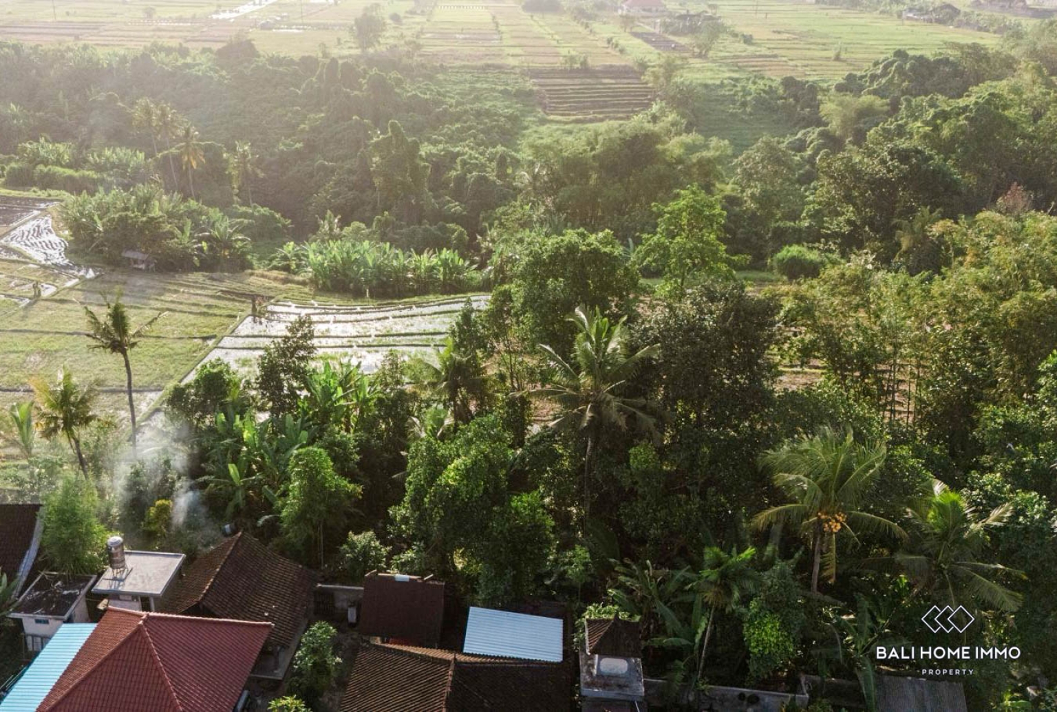 Ricefield View Land for Sale in Nyambu-Tabanan view 5