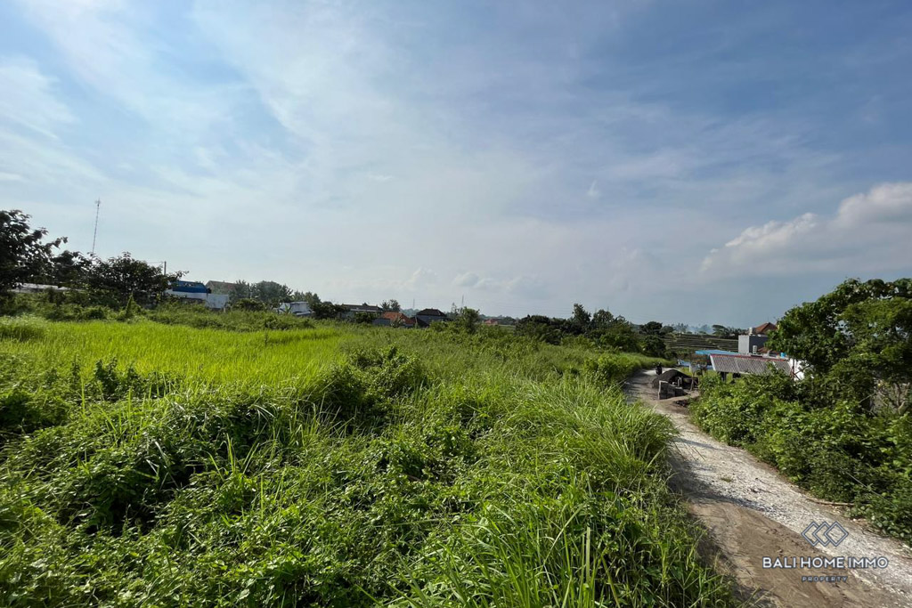 Land Sale Leasehold Ricefield View Land For Sale Leasehold In