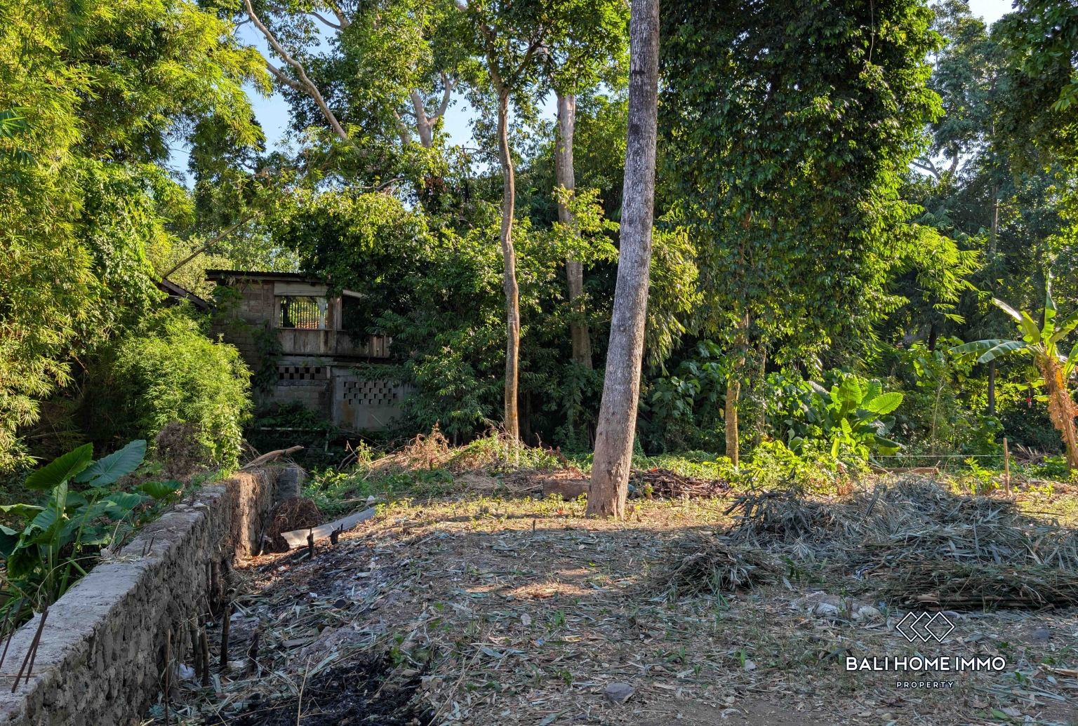 Riverside land for sale leasehold in Bali Canggu residential side view 6