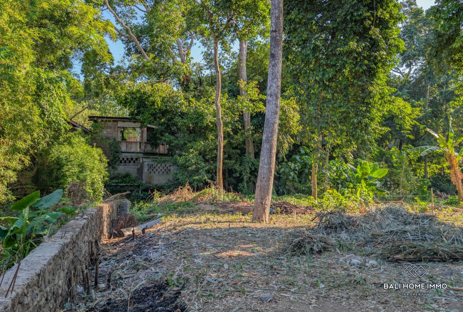 Riverside land for sale leasehold in Bali Canggu residential side view 9