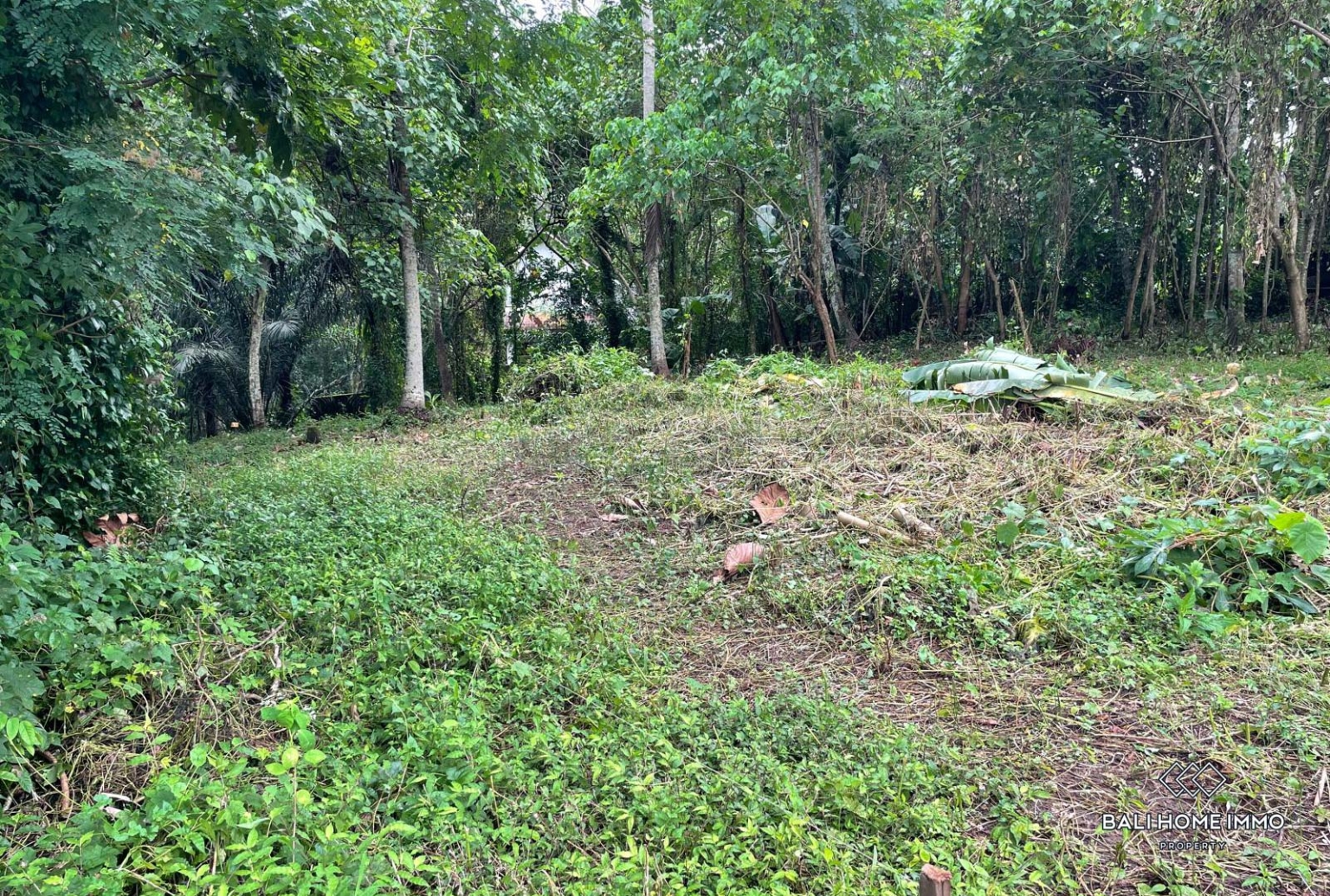 Riverside land in residential area for sale leasehold in Bali Near Canggu residential side view 3