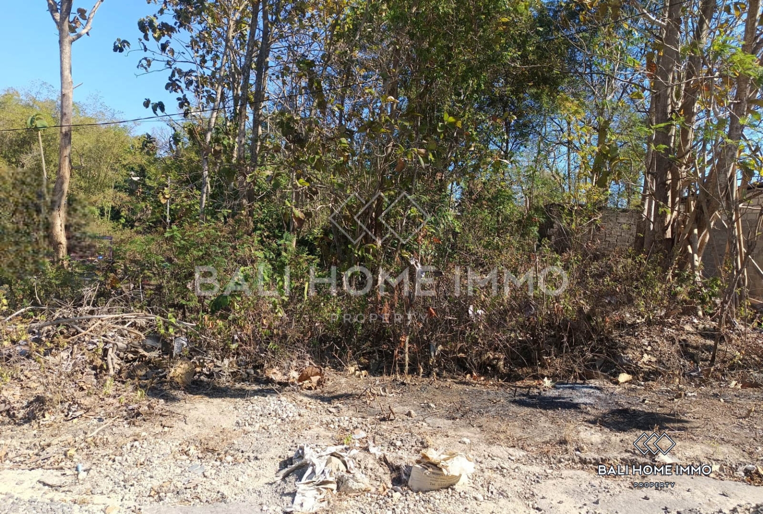 Dijual Tanah Kavling Hunian Hak Milik di Kutuh view 3