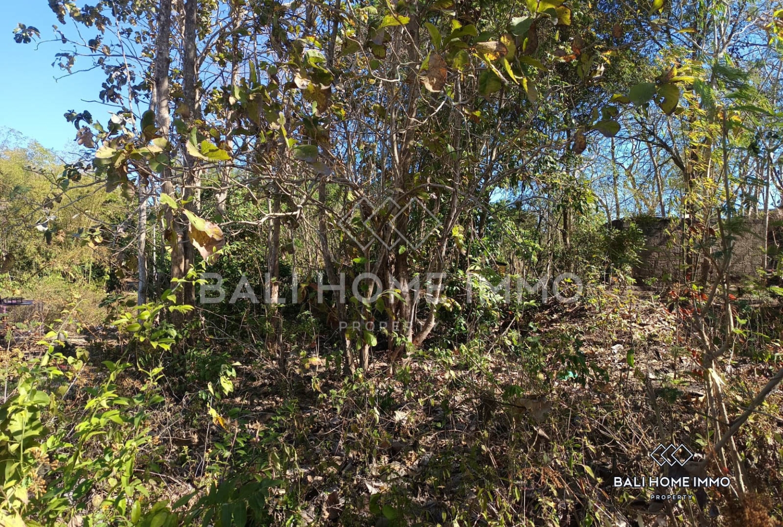 Dijual Tanah Kavling Hunian Hak Milik di Kutuh view 4