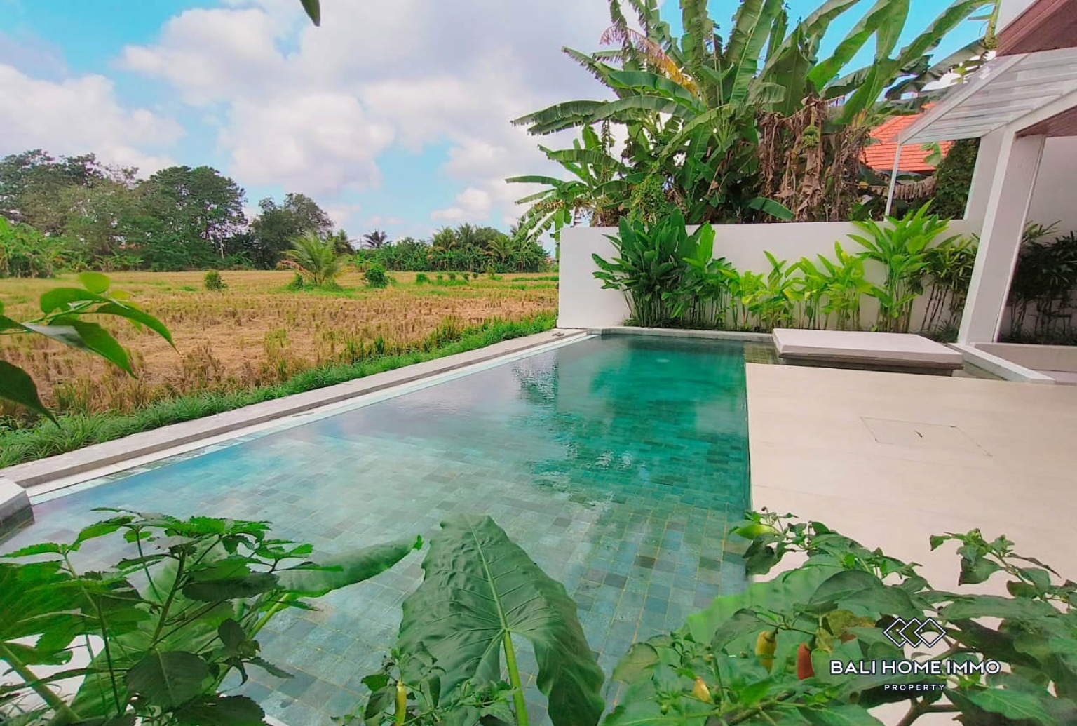 Luxe 3 bedroom Villa with Rice Field View for sale in Ubud view 18