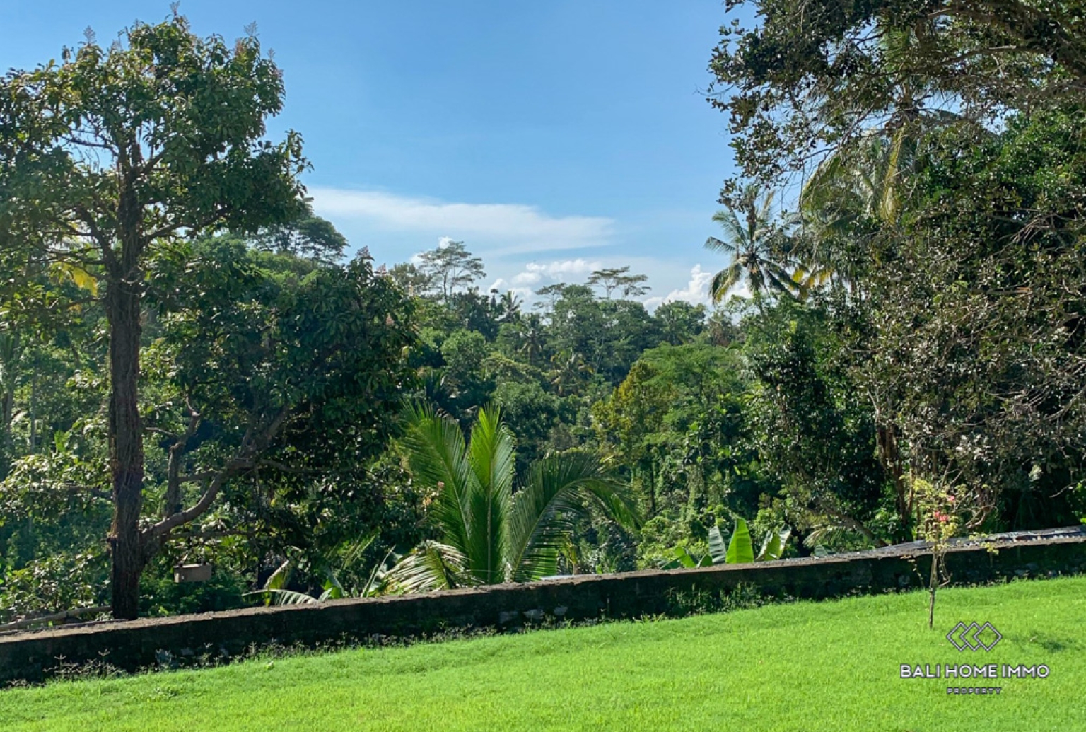 Spacieuse villa de 5 chambres à louer à Bali Ubud view 24