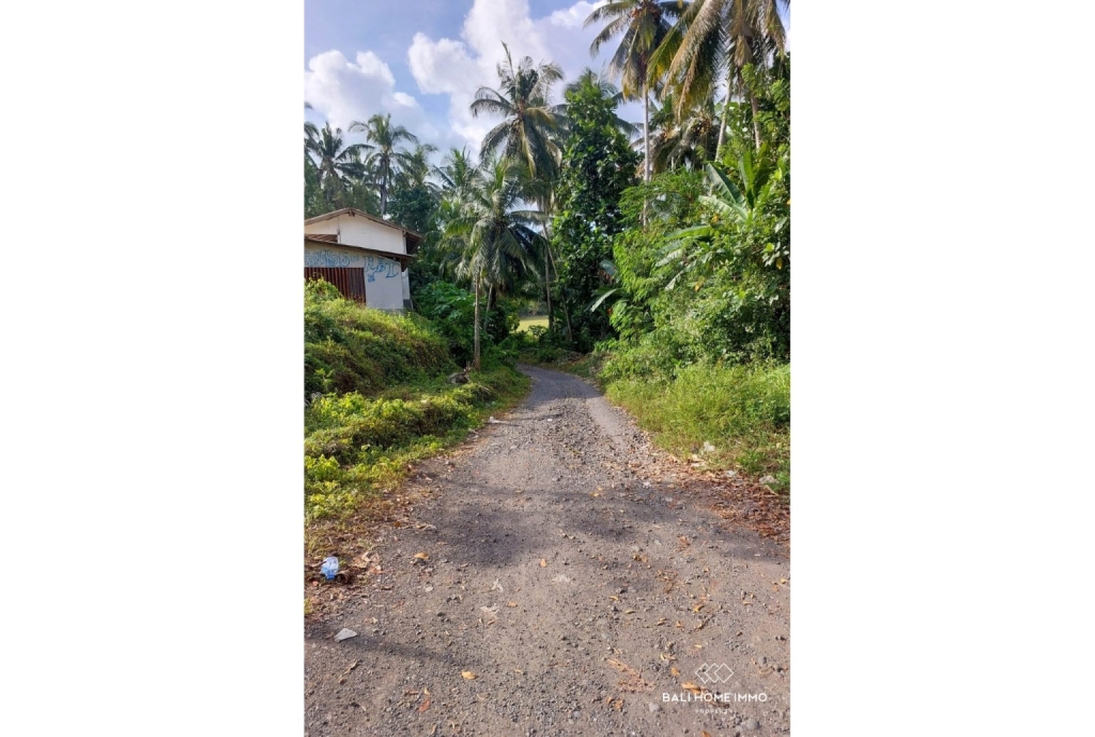 Tanah Strategis Seluas 500 m² Dijual dengan Hak Milik di Balian view 7