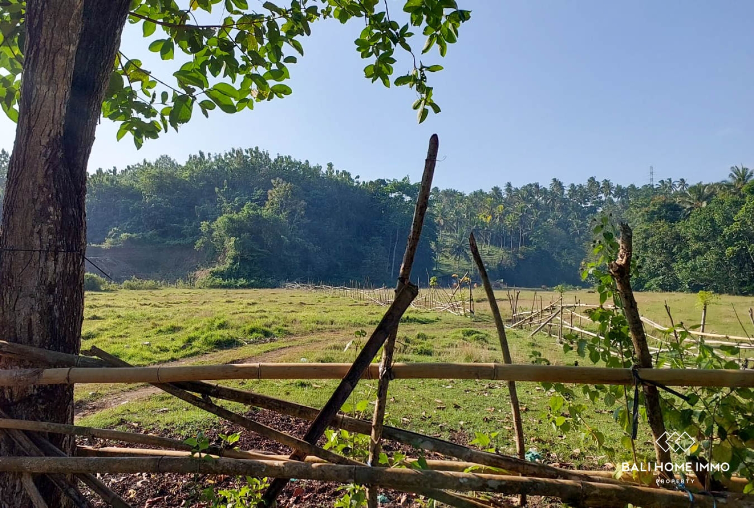 Tanah Strategis Seluas 500 m² Dijual dengan Hak Milik di Balian view 4