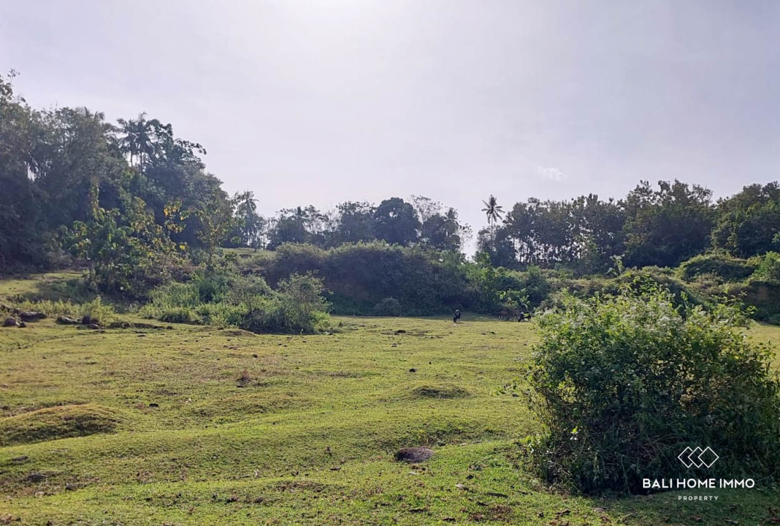 Tanah Strategis Seluas 500 m² Dijual dengan Hak Milik di Balian view 2
