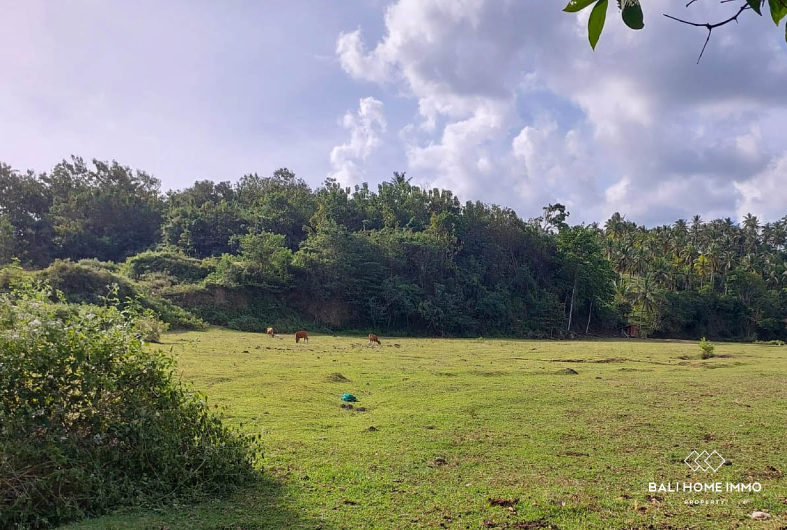 Tanah Strategis Seluas 500 m² Dijual dengan Hak Milik di Balian view 3
