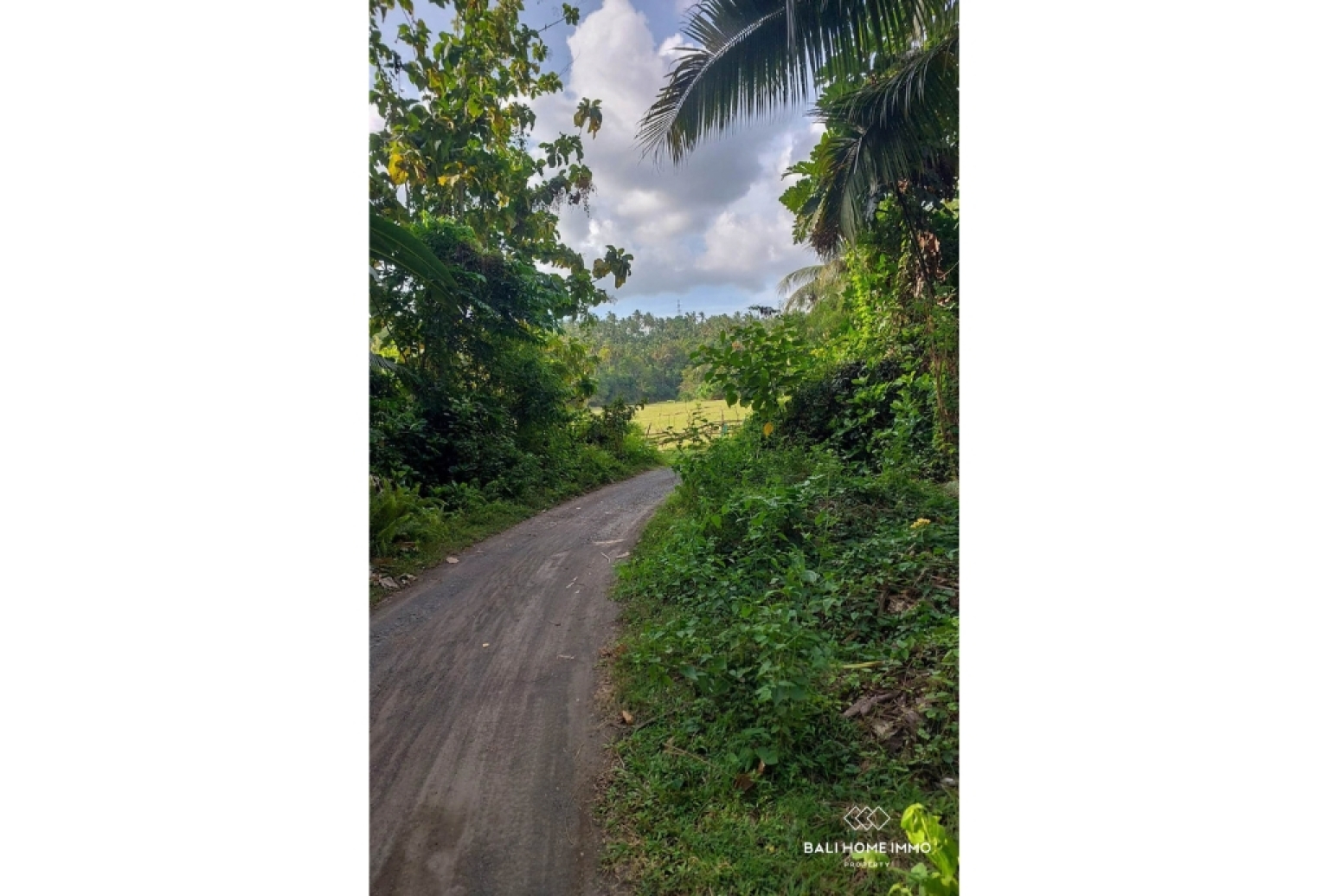Tanah Strategis Seluas 500 m² Dijual dengan Hak Milik di Balian view 6